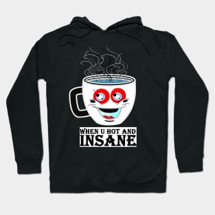 when you are hot and insane Hoodie